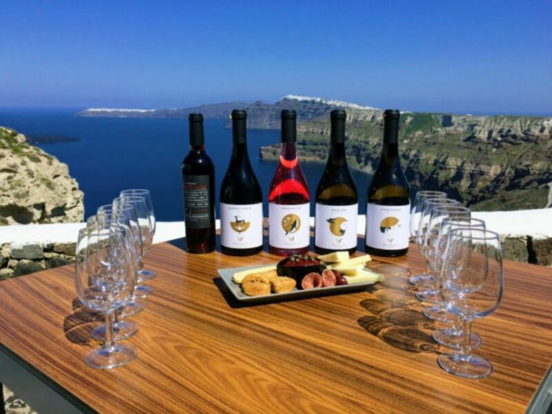 Santorini: Guided Tour to 3 Wineries with Wine Tastings - Who Will Love This Tour?