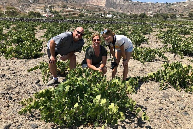 Santorini Highlights: 5-Hour Private Tour with Wine-Tasting - FAQ