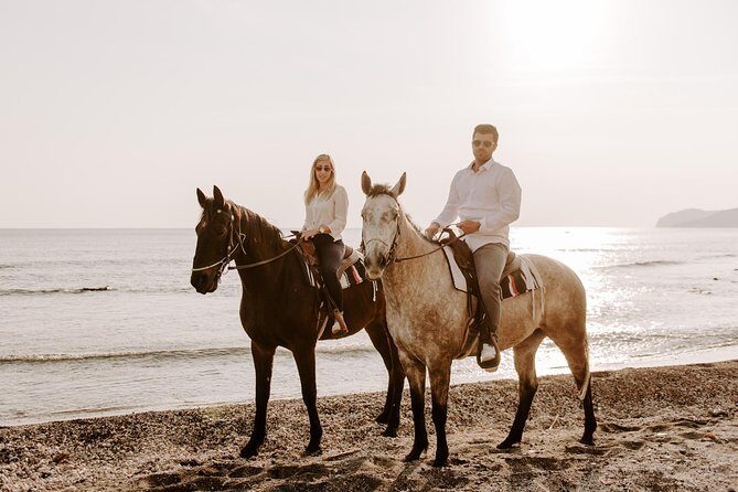 Santorini: Horse riding to the Black Sandy Beach (Eros beach) - Who Should Consider This Tour?