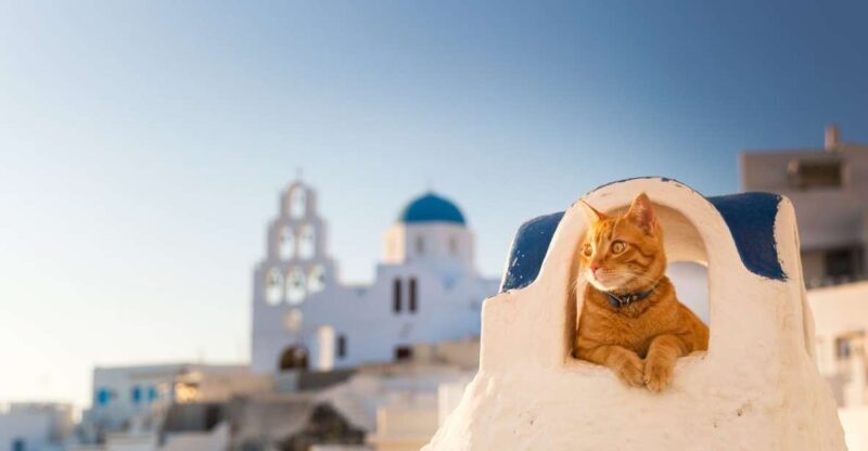 Santorini: Instagram Highlights Tour - The Photography Coaching