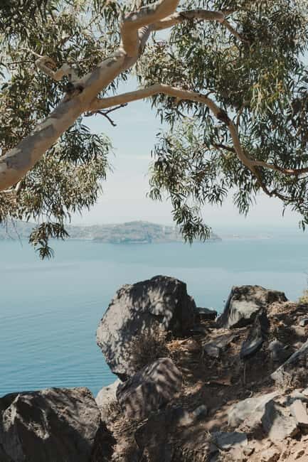 Santorini: Private 3-Hour Highlights Tour for Cruise Guests - Authentic Experiences Shared by Travelers