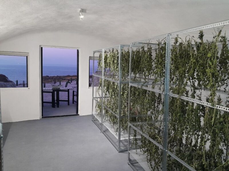 Santorini: Private Agri-Educational Visit to an Organic Farm - The Experience of the Farm and Its Setting