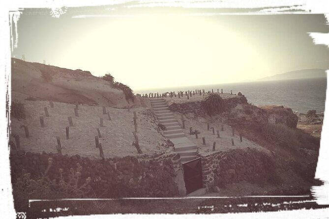 Santorini: Private Agri-Educational Visit to an Organic Farm - A Closer Look at the Tour Itinerary