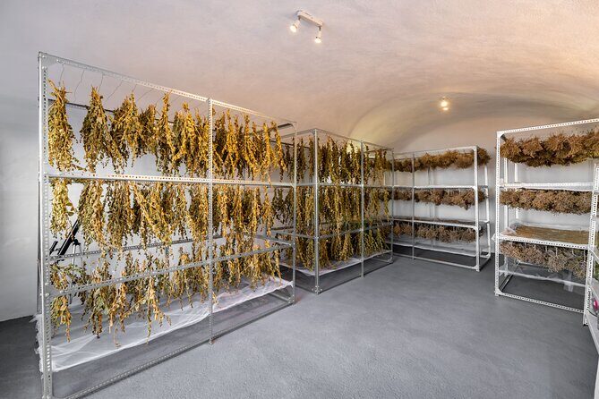 Santorini: Private Agri-Educational Visit to an Organic Farm - Who Will Appreciate This Tour?