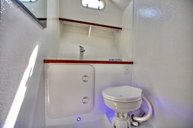 Santorini Private Cruise Sightseeing Tour with BBQ and Drinks - Who Is This Tour Best For?