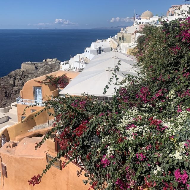 Santorini: Private Sightseeing Tour - Final Thoughts