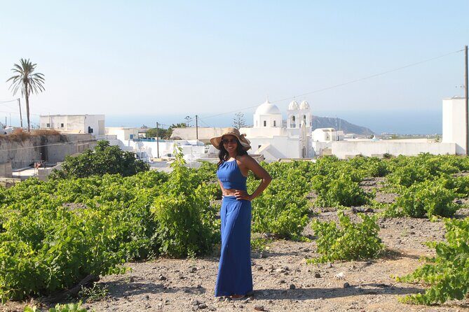 Santorini Highlights Private Tour - The Honest Drawbacks and Considerations