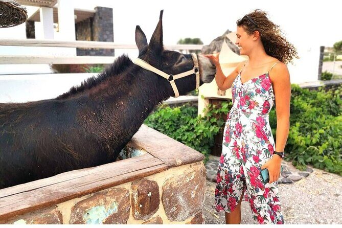 Santorini Private Tour 5hours Wine and local product tasting - Who is This Tour Best For?