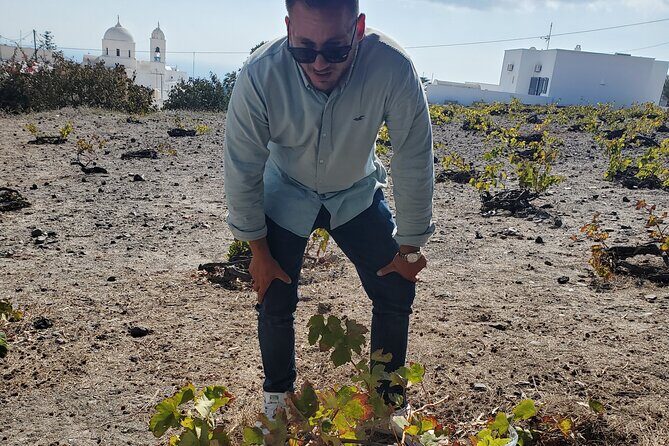 Santorini Private Tour from Athens: Sightseeing & Wine Tasting - The Practicalities: Transportation, Price, and Fit