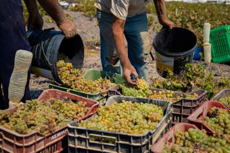 Santorini: Private Wine Tasting at Private venue - Final Thoughts