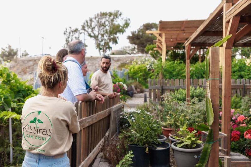 Santorini Sightseeing: Private Tour with Farm Lunch - An In-Depth Look at the Santorini Private Tour