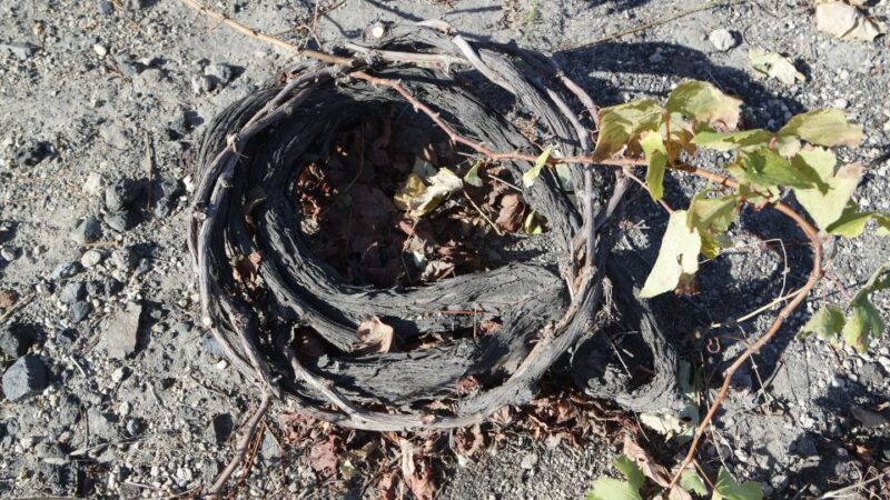 Santorini: Small Group Tour of 3 Local Wineries - Final Thoughts