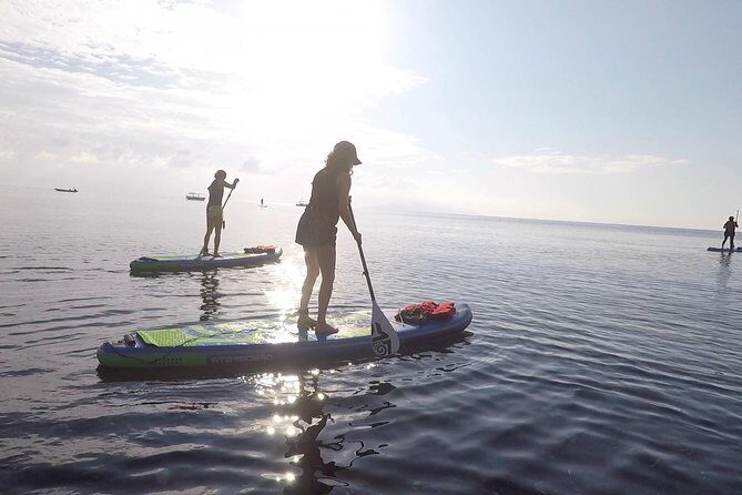 Santorini Stand-Up Paddle and Snorkel Adventure - What Travelers Say