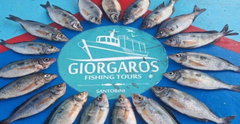 Santorini: Traditional Fishing Trip and Fresh Fish Lunch - Key Points