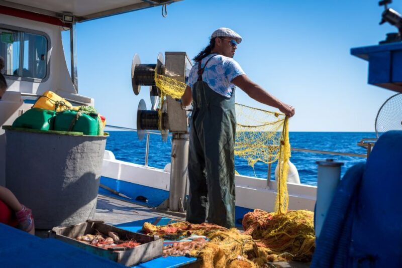 Santorini: Traditional Fishing Trip and Fresh Fish Lunch - Practical Tips for Your Trip