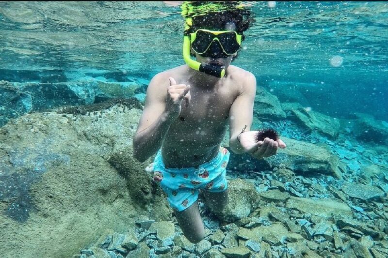 Santorini: Traditional Wooden Boat Tour with Meal and Wine - Who Will Love This Tour?