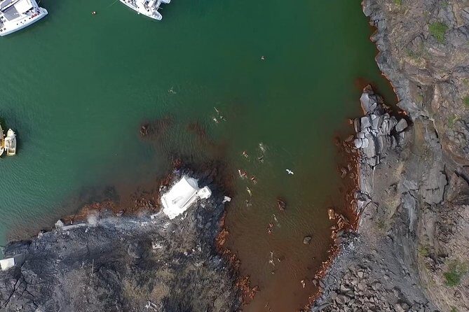 Santorini Volcano Tour with Oia Sunset - Who Will Enjoy This Tour?