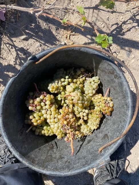 Santorini Wine & History Tour with 3 Expert Sommeliers - An In-Depth Look at the Santorini Wine & History Tour