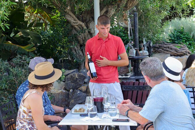 Santorini Wine Stories: Daytime Tour with Tasting & Lunch - Introduction: A Well-Rounded Wine Experience in Santorini