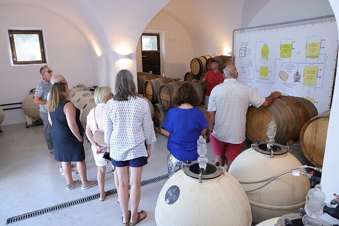 Santorini Wine Stories: Daytime Tour with Tasting & Lunch - Final Thoughts: Is It Worth Your Time?