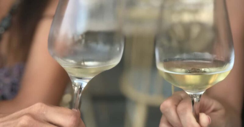 Santorini: Wine tasting in 3 Wineries and a Greek Meal group - Final Thoughts