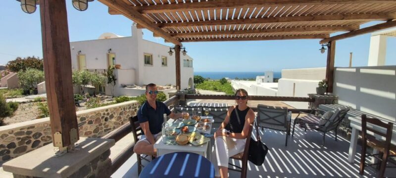 Santorini: Wine Tasting Tour - Who is This Tour Best For?