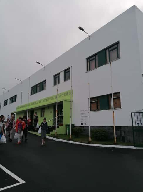 Sao Jorge Cheese Tour - Half day - Discover the Art of São Jorge Cheese: An Honest Review of the Half-Day Tour