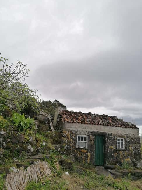 São Jorge: Fajã Camping and Hiking Tour - Key Points