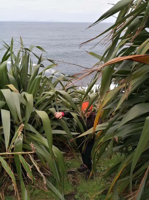 São Jorge: Fajã Camping and Hiking Tour - FAQs