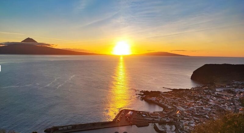 São Jorge: Island, Forest Reserve & Fajãs Guided Tour - What’s the Value Like?