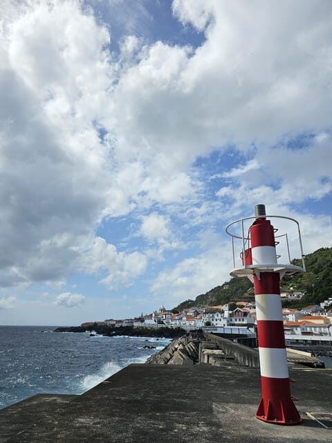 São Jorge: Island, Forest Reserve & Fajãs Guided Tour - Final Recommendation