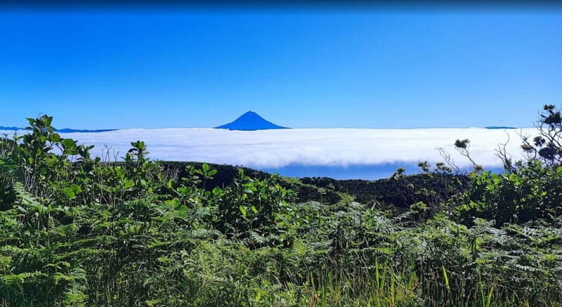 São Jorge Island Panoramic Adventure  4 Hour Tour - Exploring the São Jorge Island Panoramic Adventure: A Practical Look