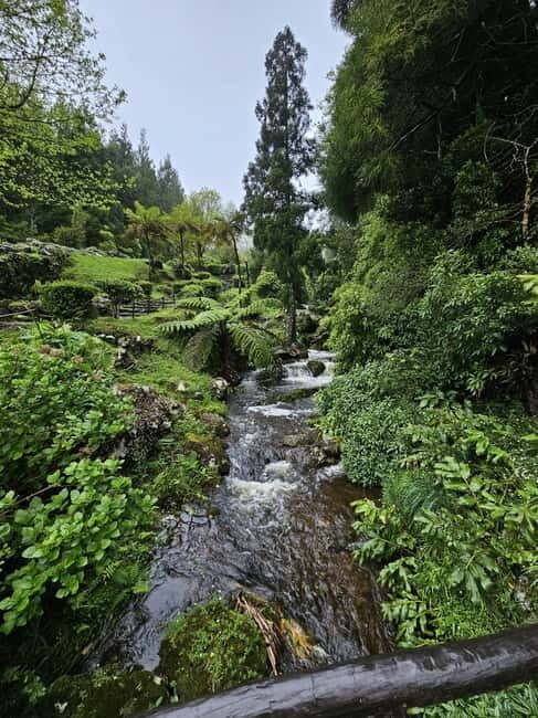 São Jorge Island Panoramic Adventure  4 Hour Tour - Practical Details: Transportation, Group Size, and Value