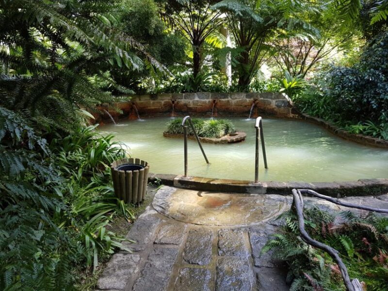 São Miguel Azores: Furnas Evening Thermal Baths w/tickets - Analyzing the Value