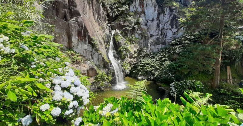 São Miguel Azores: Hike and Snorkeling with a local - Frequently Asked Questions