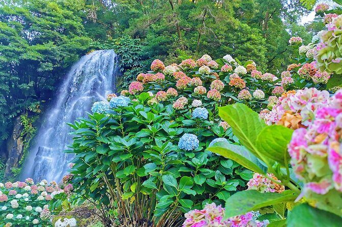 São Miguel, Azores - Private Tour 9 hours in 4 seats car "Exclusively for You" - Final Thoughts