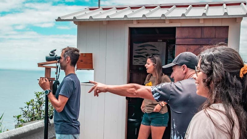 São Miguel: Azores Whaling Heritage Tour - FAQs