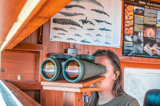 São Miguel: Azores Whaling Heritage Tour - Why Travelers Rave About It