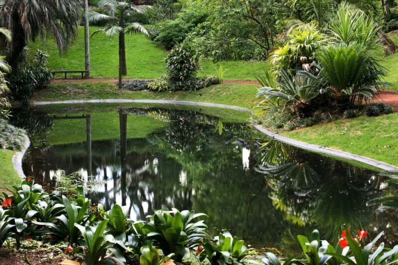 São Miguel: Botanical Gardens and Cave Tour - A Closer Look at the São Miguel Botanical Gardens and Cave Tour