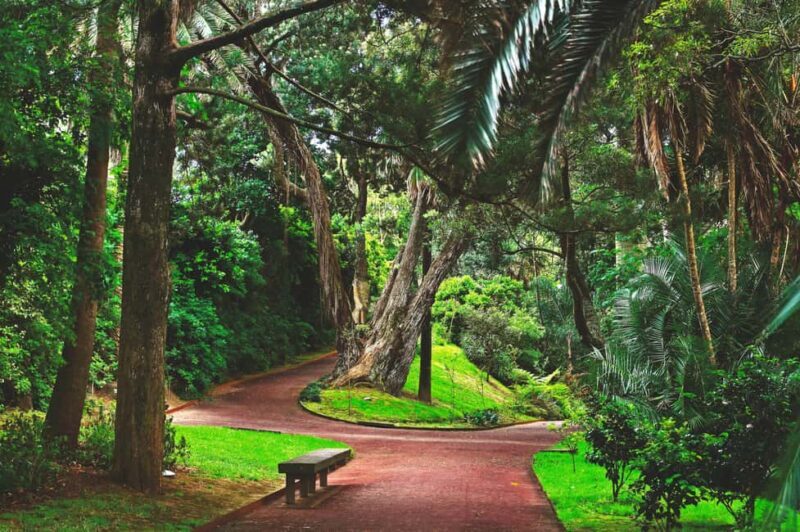 São Miguel: Botanical Gardens and Cave Tour - The Sum Up