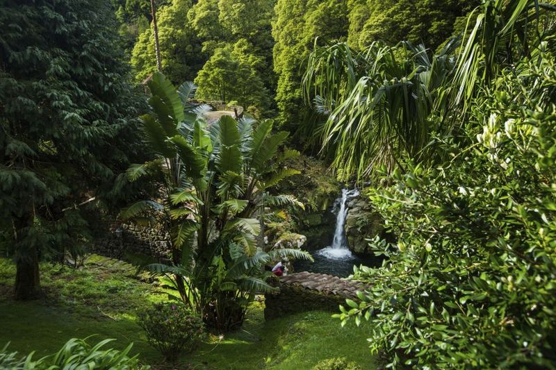 São Miguel East: Full-Day Van Tour with Lunch - What the Lunch Is Like: Cozido Das Furnas (Included, and It Matters)