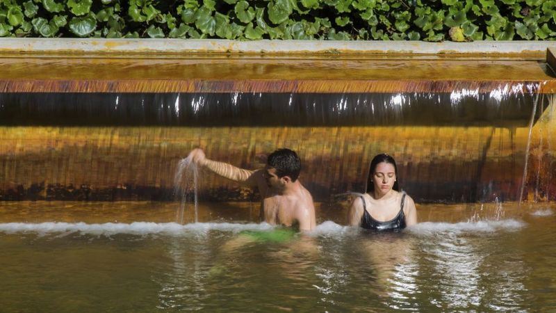 São Miguel East: Full-Day Van Tour with Lunch - Nordeste Region: Cliffs, Pastures, and a Whale Lookout