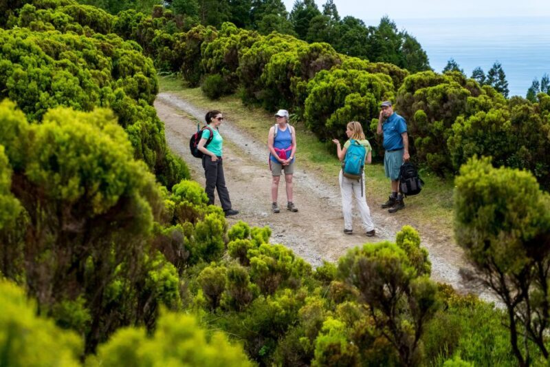 São Miguel: Full-Day Hike to Lagoa do Fogo - An In-Depth Look at the Hike to Lagoa do Fogo