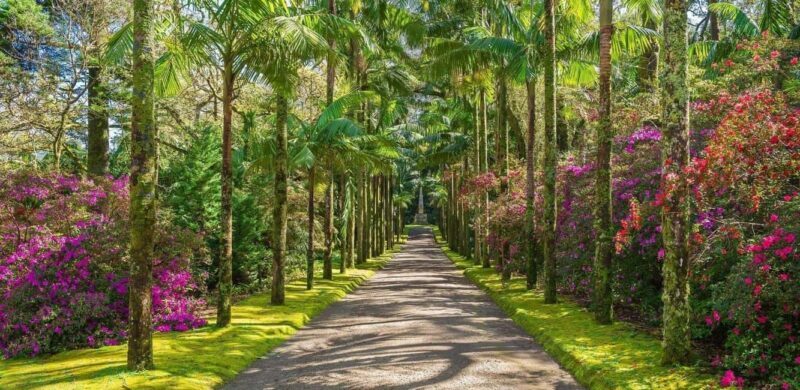 São Miguel: Furnas Half-Day Tour - FAQ