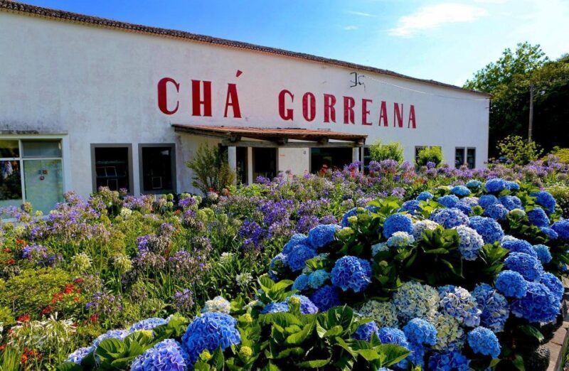 São Miguel: Furnas Volcano & Tea Plantation Tour & Lunch - FAQ