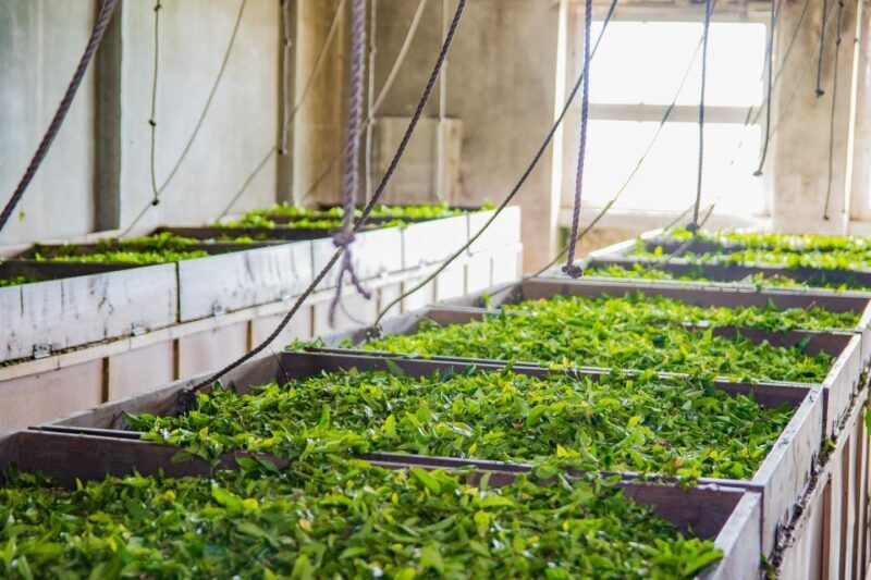 São Miguel Island: Full Day All-in-One Tour - Frequently Asked Questions