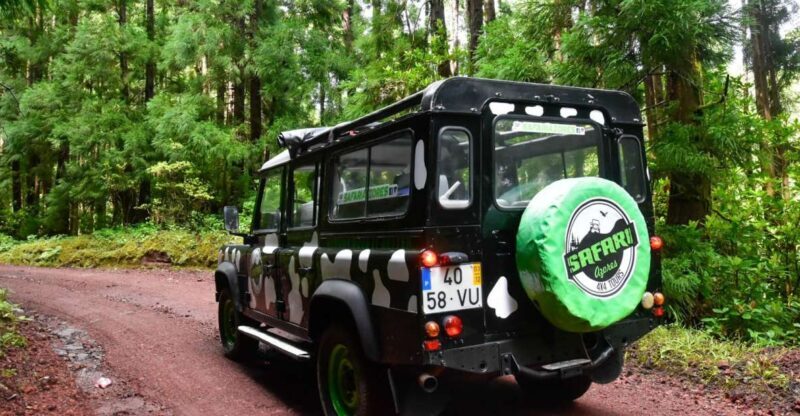 São Miguel Island: Full Day Furnas and Furnas Lake Tour - What You’ll Love About This Tour