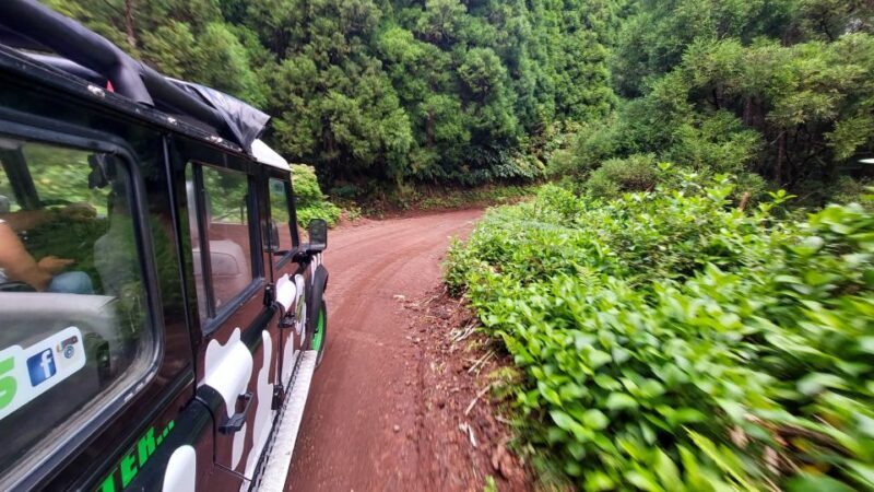 São Miguel Island: Full Day Furnas and Furnas Lake Tour - Is This Tour Right for You?