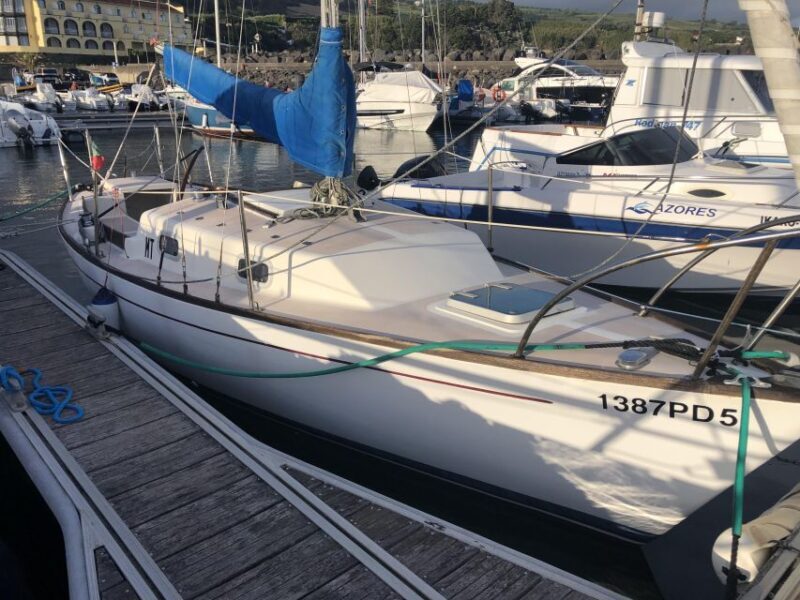 São Miguel: Island Highlights Private Tour by Boat and Van - The Hidden Gem: Salto do Cabrito Waterfall