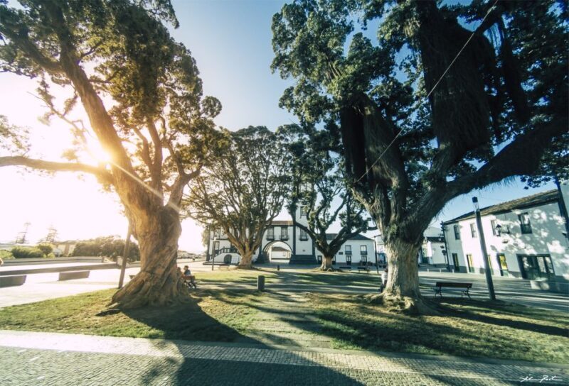 Sao Miguel: Jeep Tour to Sete Cidades & Lagoa do Fogo - Final Thoughts